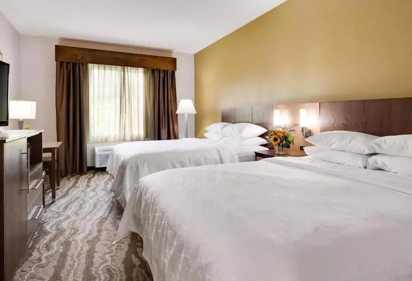 スタンダードルーム, Best Western Plus River Escape Sylva / Dillsboro