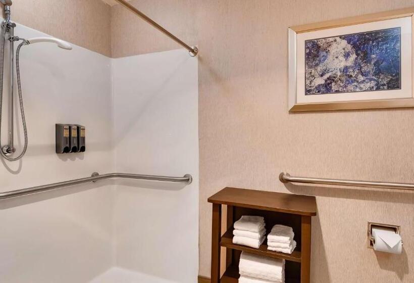 キングサイズベッドのスタンダードルーム, Best Western Plus River Escape Sylva / Dillsboro