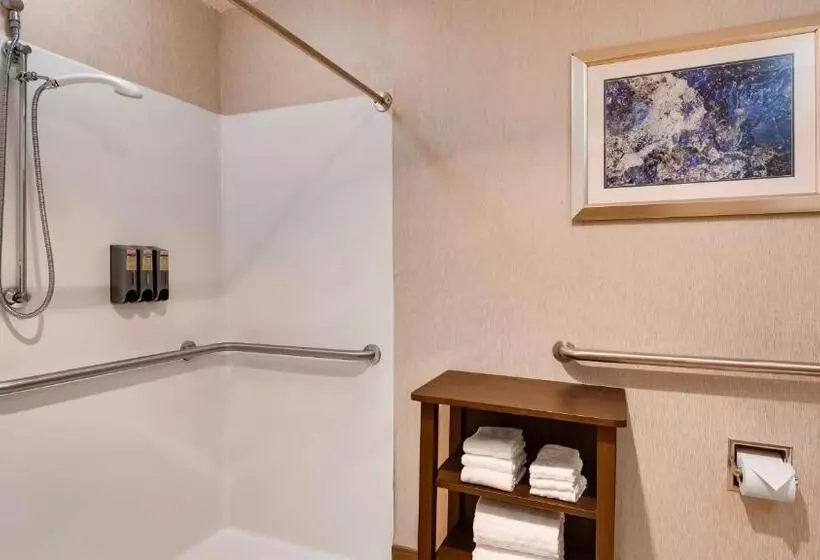 キングサイズベッドのスタンダードルーム, Best Western Plus River Escape Sylva / Dillsboro
