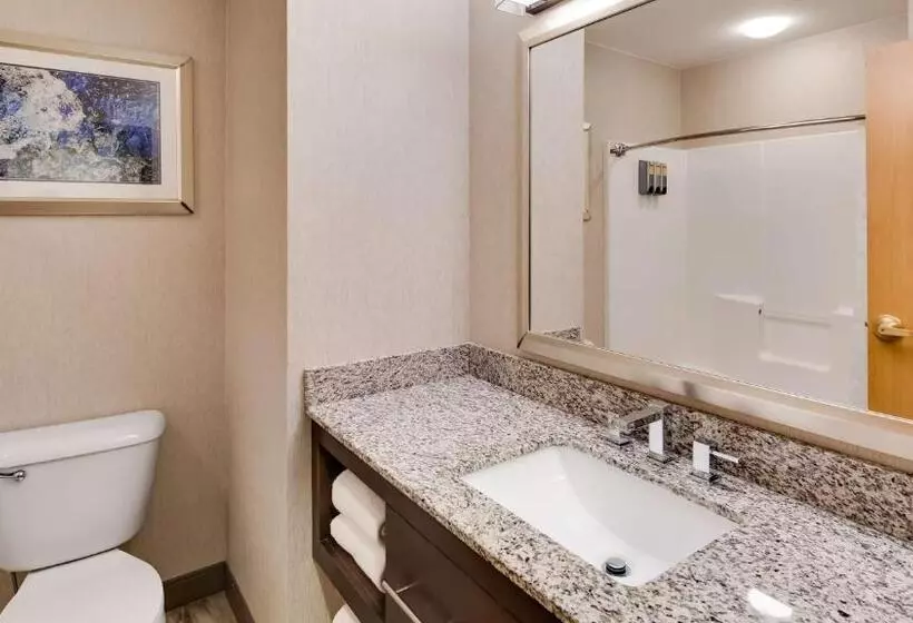 バルコニー付きスタンダードルーム, Best Western Plus River Escape Sylva / Dillsboro
