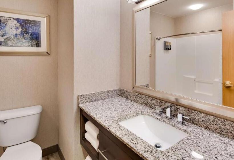 リバービュースイート, Best Western Plus River Escape Sylva / Dillsboro