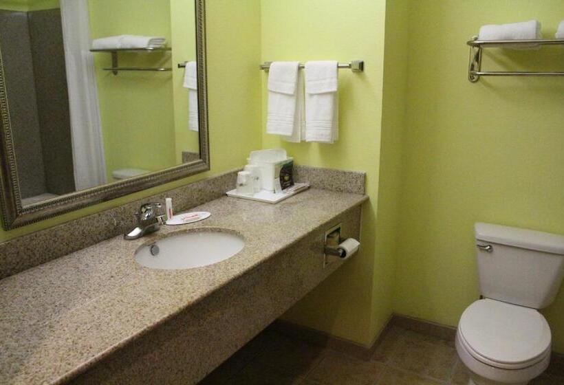 キングサイズベッドのスタンダードルーム, Days Inn By Wyndham Salado