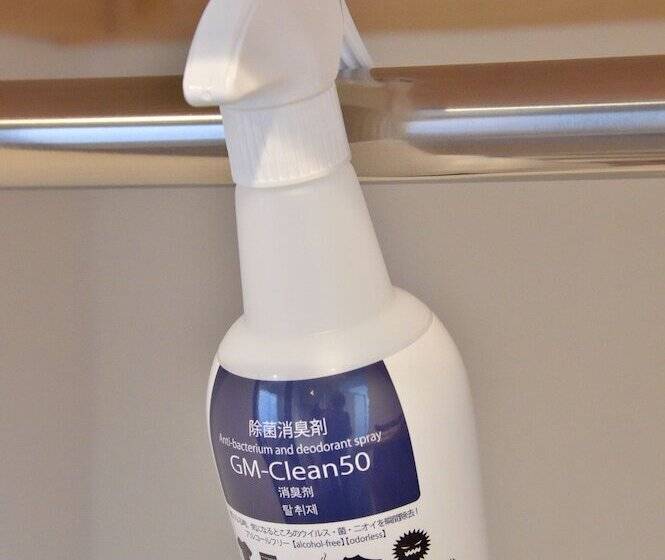 디럭스 룸, Dormy Inn Sapporo Annex