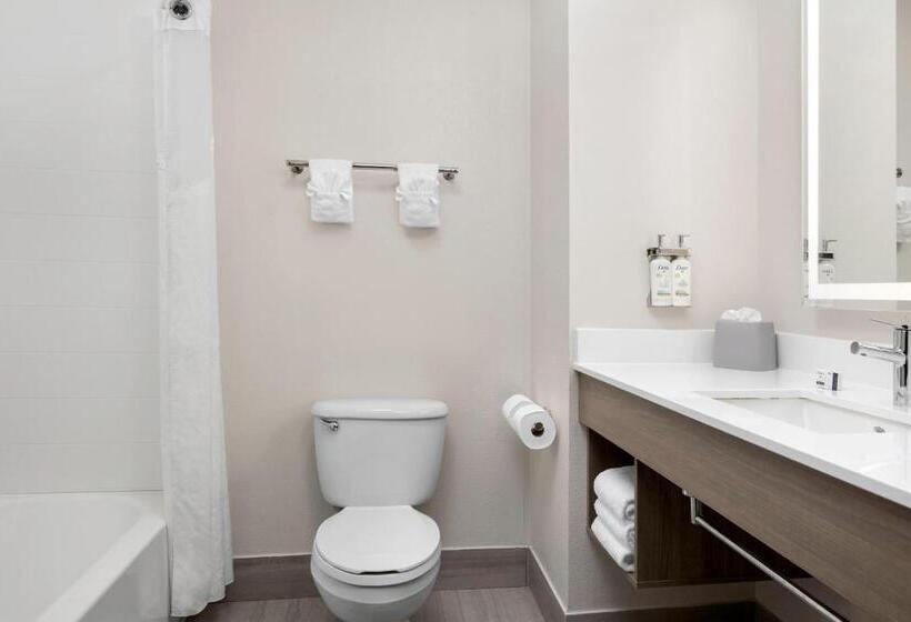 Стандартный Номер Кровать Кинг, Holiday Inn Express & Suites Superior, An Ihg