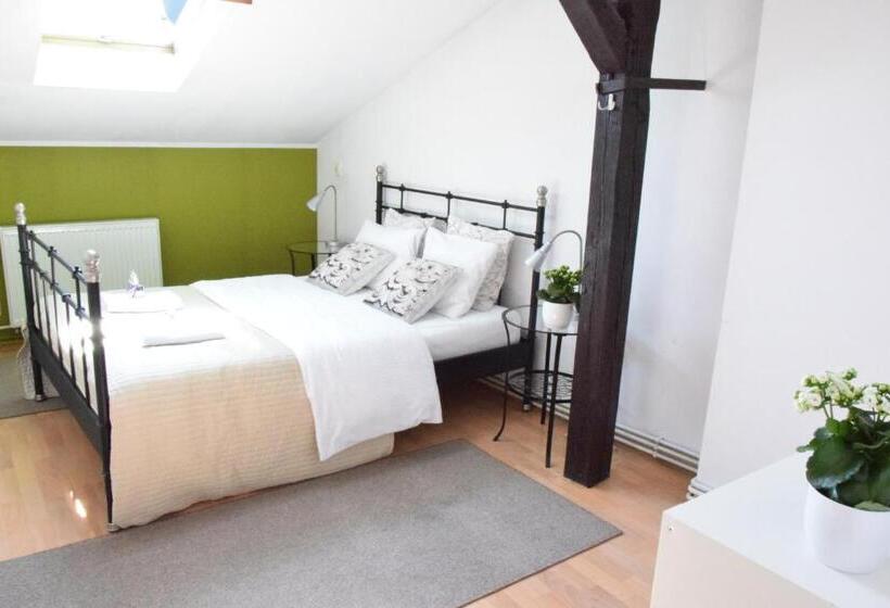 带1个卧室的经济型公寓, Blooms Inn & Apartments