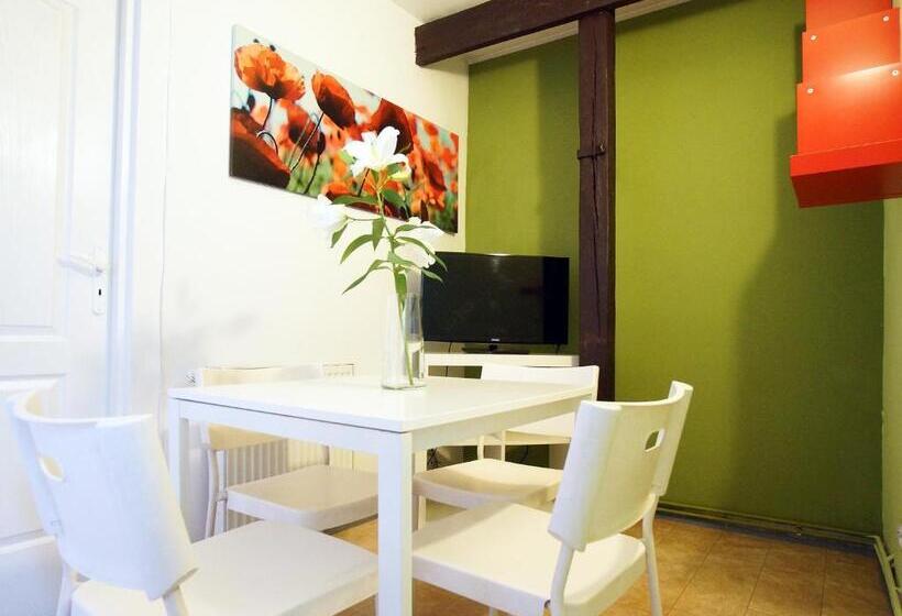 带1个卧室的经济型公寓, Blooms Inn & Apartments