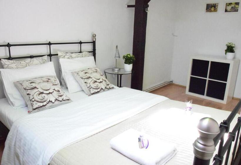 带1个卧室的经济型公寓, Blooms Inn & Apartments