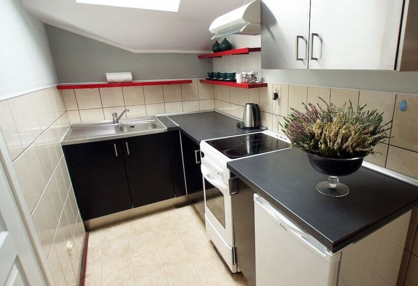 带1个卧室的经济型公寓, Blooms Inn & Apartments