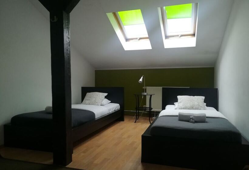 带1个卧室的经济型公寓, Blooms Inn & Apartments