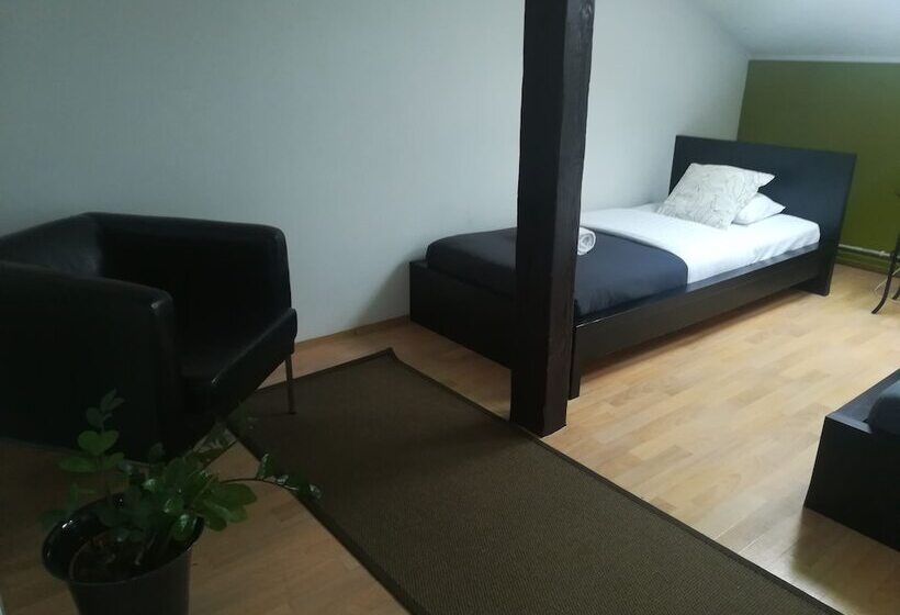 آپارتمان اکونومی 1 خوابه, Blooms Inn & Apartments