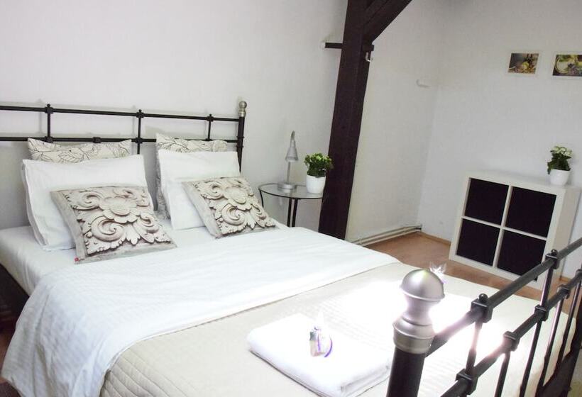 带1个卧室的经济型公寓, Blooms Inn & Apartments