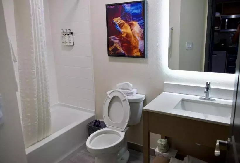 身障者適用スタンダードルーム, Candlewood Suites Harrisonburg, An Ihg