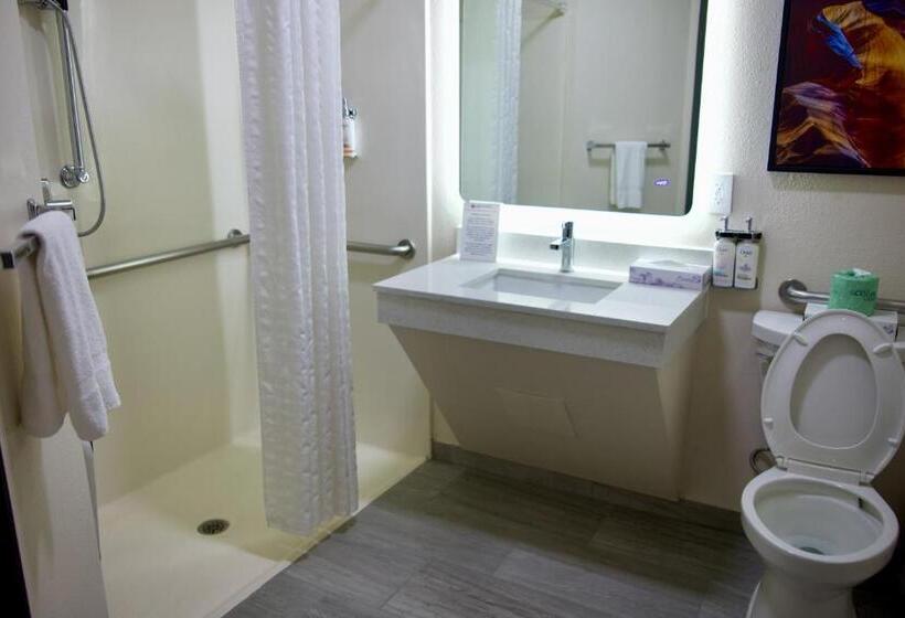 غرفة قياسية لذوى الاحتياجات الخاصة, Candlewood Suites Harrisonburg, An Ihg