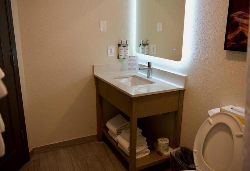 חדר סטנדרט מותאם לאדם עם מוגבלויות, Candlewood Suites Harrisonburg, An Ihg