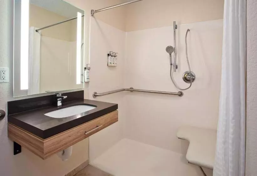身障者適用スイートルーム, Candlewood Suites Kenosha, An Ihg