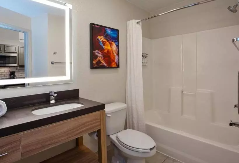 キングサイズベッドのスイートルーム, Candlewood Suites Kenosha, An Ihg