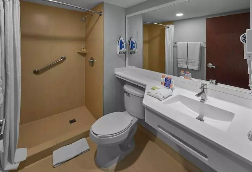 اتاق استاندارد با 2 تخت دوبل, City Express By Marriott Torreon