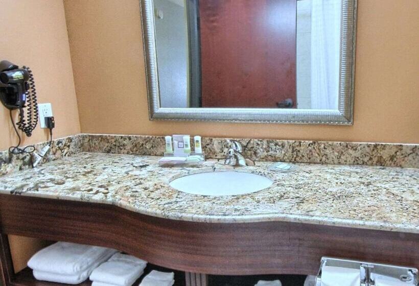 סוויטה עם ג'קוזי, Country Inn & Suites By Radisson, Dearborn, Mi