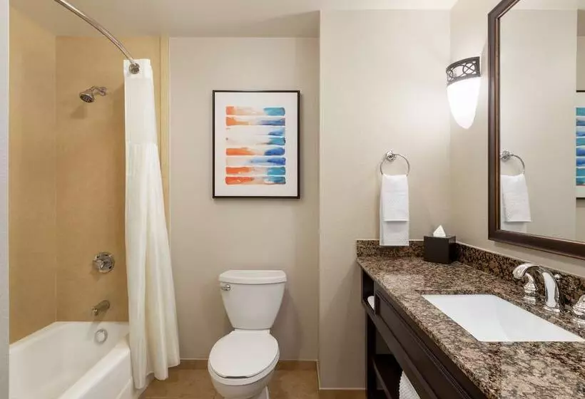 スイート, Embassy Suites By Hilton Orlando Lake Buena Vista South