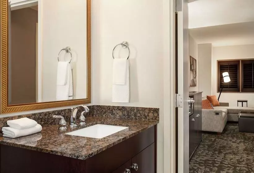 スイート, Embassy Suites By Hilton Orlando Lake Buena Vista South