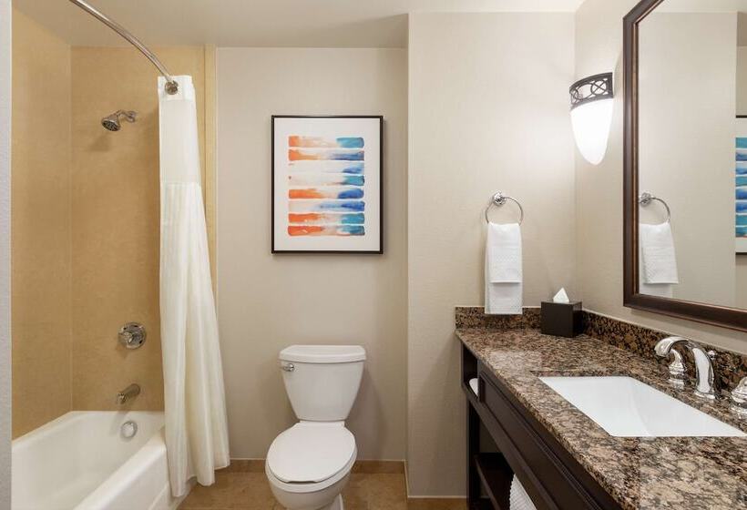 豪华套房, Embassy Suites By Hilton Orlando Lake Buena Vista South