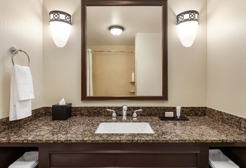 デラックススイート, Embassy Suites By Hilton Orlando Lake Buena Vista South