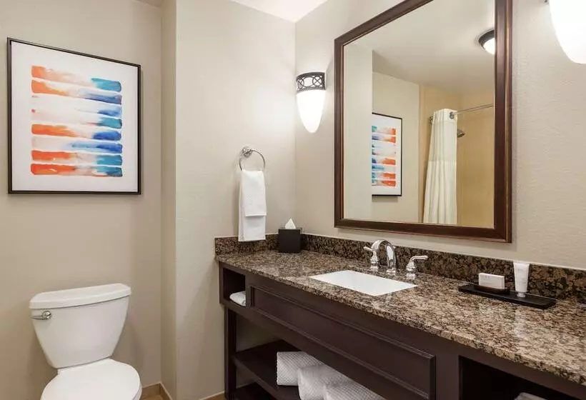 デラックススイート, Embassy Suites By Hilton Orlando Lake Buena Vista South