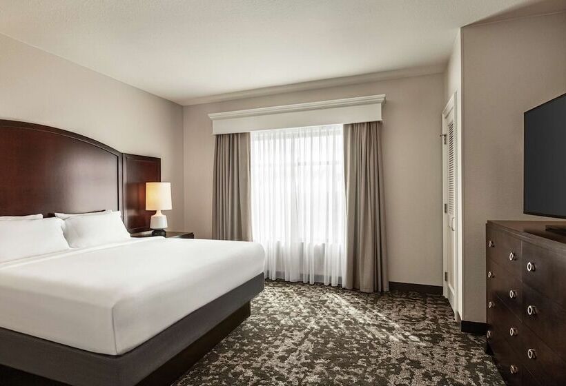 豪华套房, Embassy Suites By Hilton Orlando Lake Buena Vista South