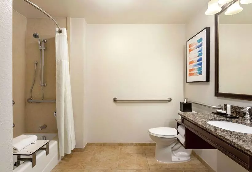 身障者適用スイートルーム, Embassy Suites By Hilton Orlando Lake Buena Vista South