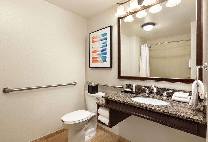 适合残疾人士使用的套间, Embassy Suites By Hilton Orlando Lake Buena Vista South