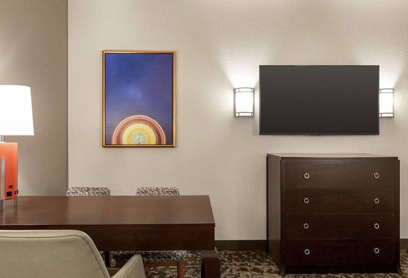 适合残疾人士使用的套间, Embassy Suites By Hilton Orlando Lake Buena Vista South