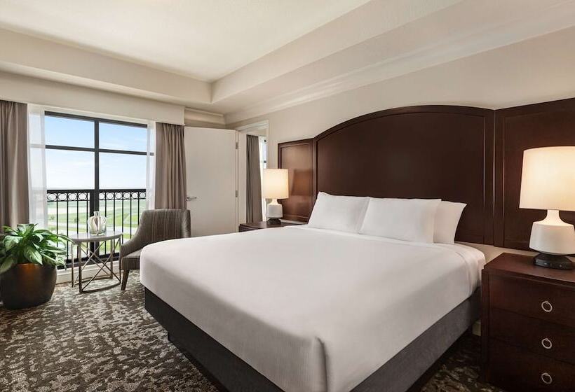 豪华套房, Embassy Suites By Hilton Orlando Lake Buena Vista South