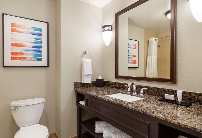 高级套房, Embassy Suites By Hilton Orlando Lake Buena Vista South