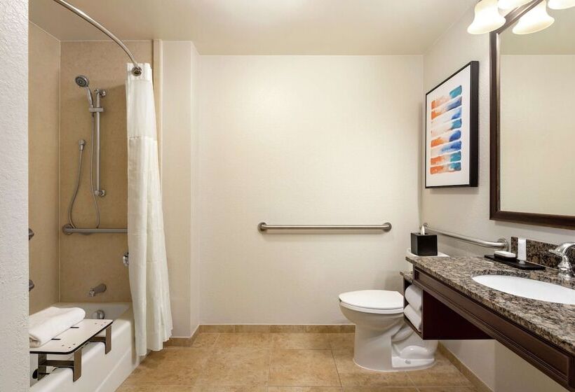 高级套房, Embassy Suites By Hilton Orlando Lake Buena Vista South