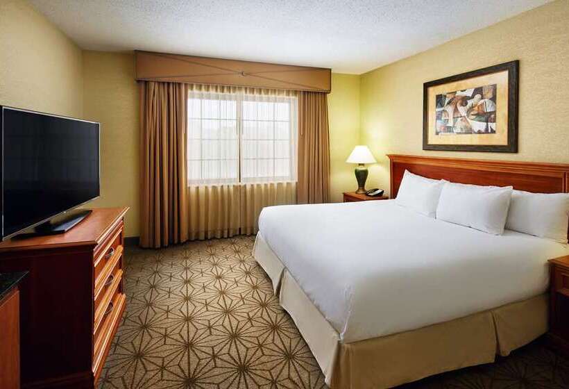 带大床的豪华间, Embassy Suites By Hilton Orlando Lake Buena Vista South