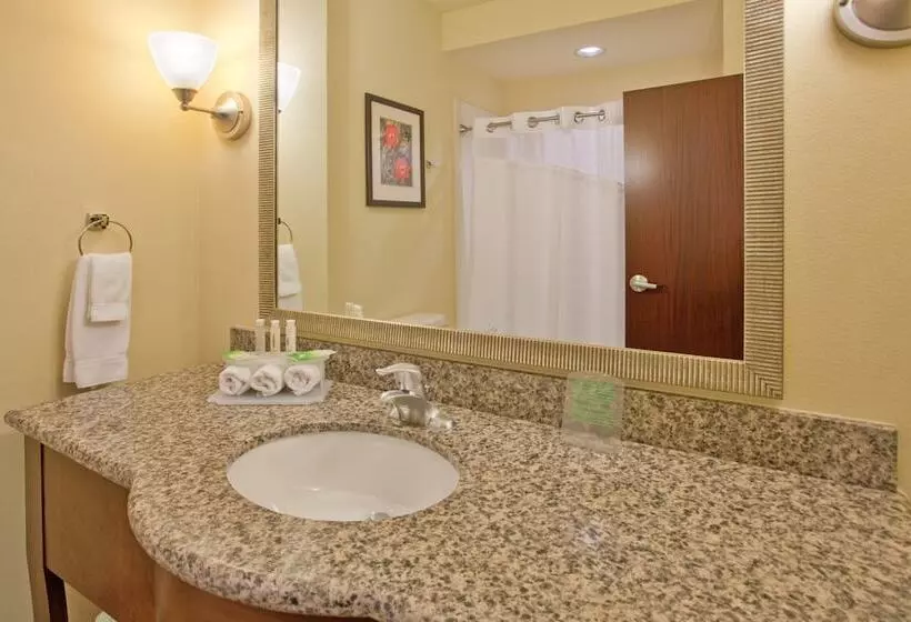 スイート, Holiday Inn Express & Suites Gallup East, An Ihg