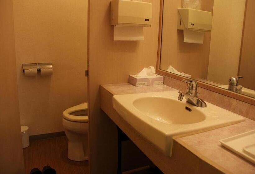 חדר סטנדרד יחיד חדר אמבטיה משותף, Kaike Grand Hotel Tensui