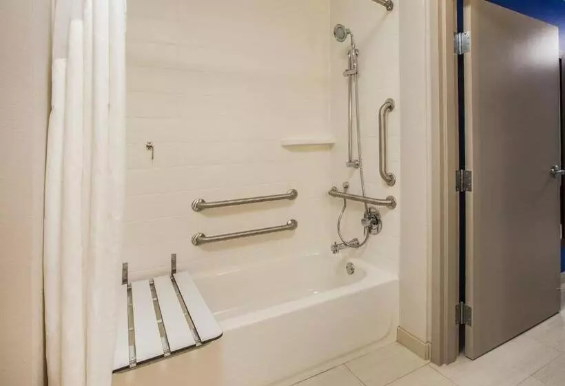 身障者適用キングサイズベッドルーム, Holiday Inn Express & Suites Englewood   Denver South, An Ihg