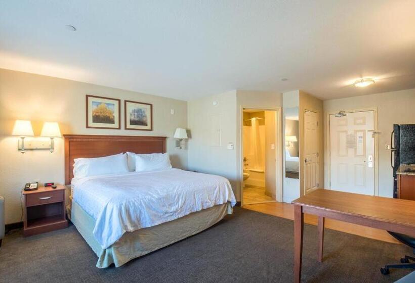 إستوديو قياسى سرير كينج, Western Slope Suites Parachute