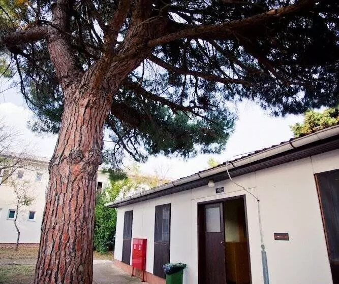 اتاق استاندارد با سرویس بهداشتی مشترک, Hi Hostel Zadar