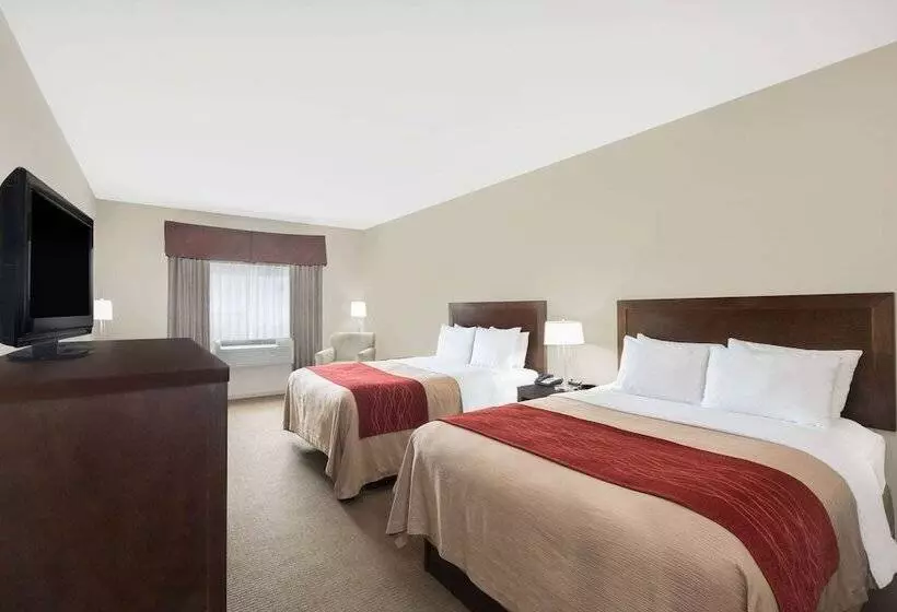 デラックスルーム, Baymont By Wyndham Columbus