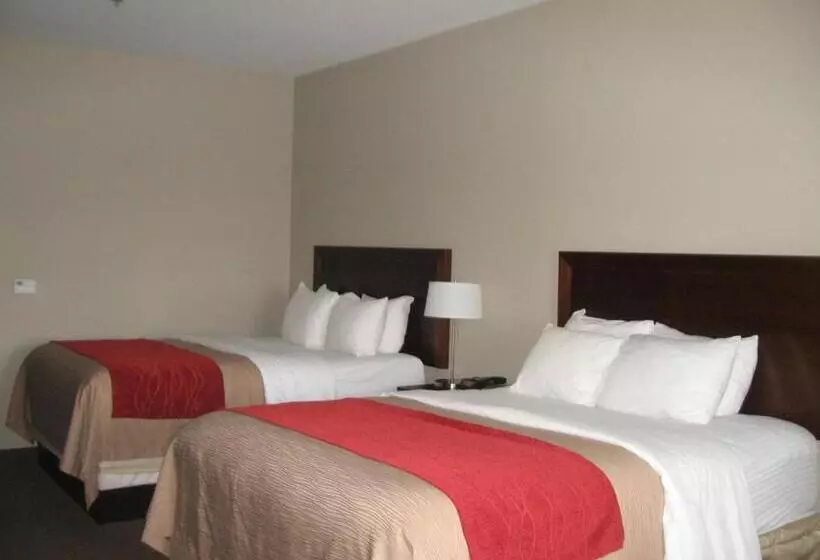Standard-huone, Baymont By Wyndham Columbus