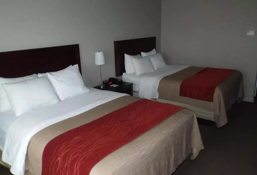 Standard-huone, Baymont By Wyndham Columbus