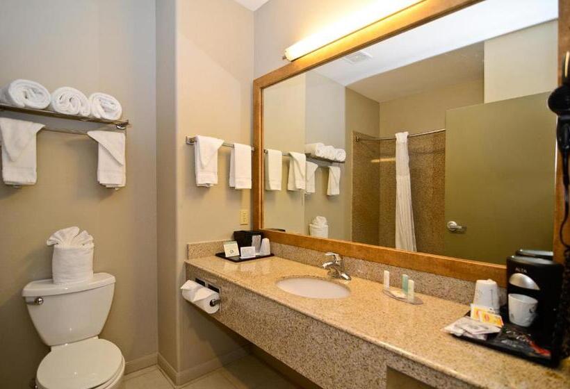 Deluxe Værelse, Baymont By Wyndham Columbus