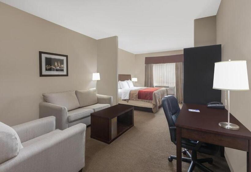 Suite King Size Seng, Baymont By Wyndham Columbus