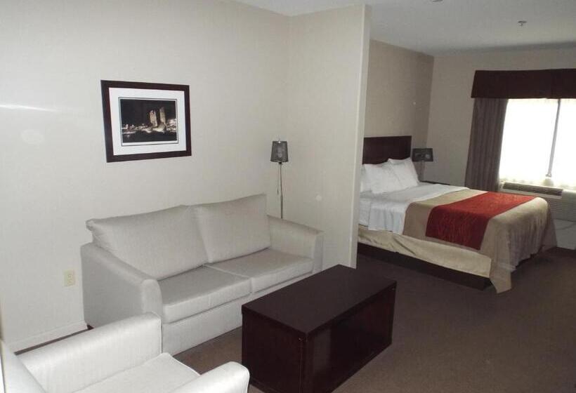 스위트 킹사이즈 침대, Baymont By Wyndham Columbus