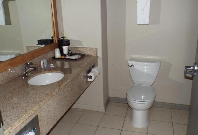 Suite King Size Seng, Baymont By Wyndham Columbus