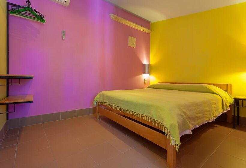 اتاق استاندارد, Domus Maritima