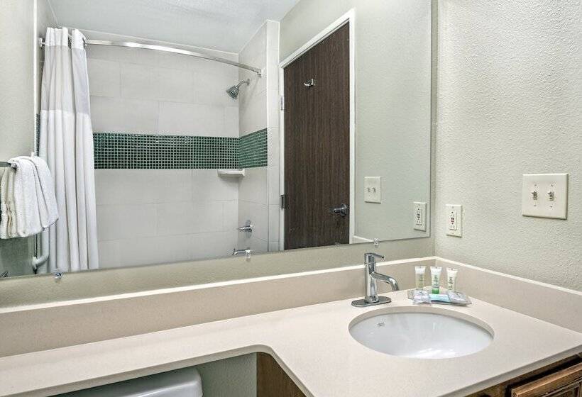 جناح سرير كينج, Staybridge Suites Lubbock   University Area, An Ihg