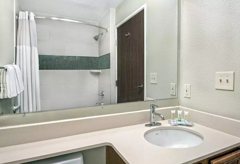 سوئیت با تخت بزرگ, Staybridge Suites Lubbock   University Area, An Ihg